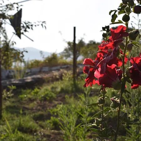 Lasinthos Eco Park Гостевой дом Agios Georgios (Lasithi)